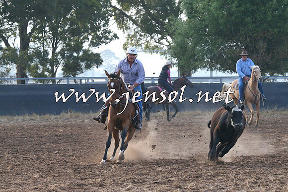 BraidwoodCampdraft2014_0012