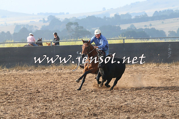 BraidwoodCampdraft2014_0116