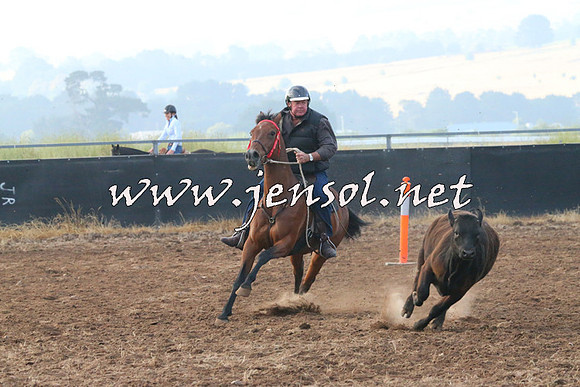 BraidwoodCampdraft2014_0016