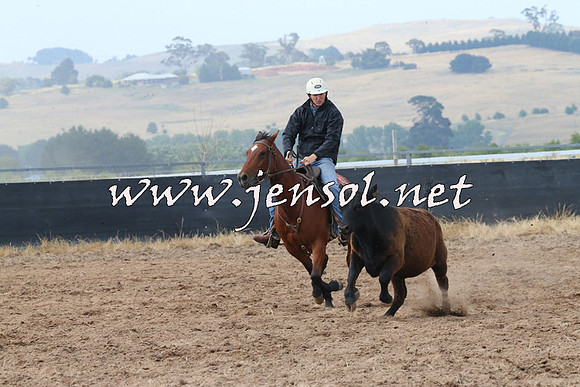 BraidwoodCampdraft2014_0222