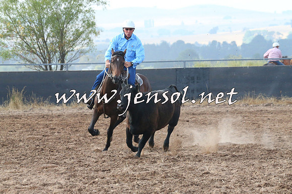 BraidwoodCampdraft2014_0115