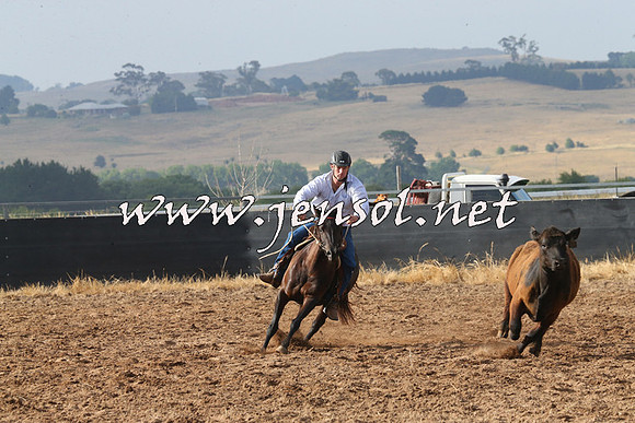 BraidwoodCampdraft2014_0147