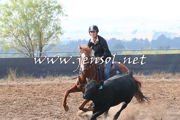 BraidwoodCampdraft2014_0081