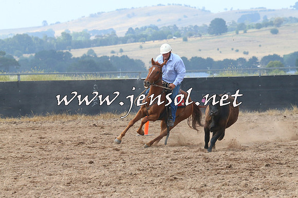 BraidwoodCampdraft2014_0238