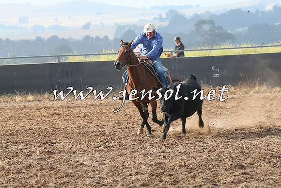 BraidwoodCampdraft2014_0127