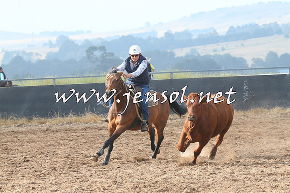 BraidwoodCampdraft2014_0144