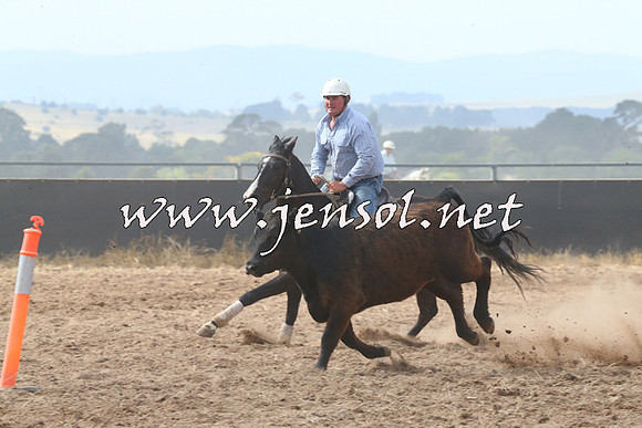 BraidwoodCampdraft2014_0234