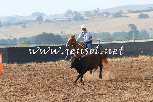 BraidwoodCampdraft2014_0094