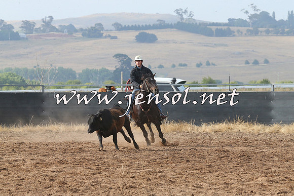 BraidwoodCampdraft2014_0160