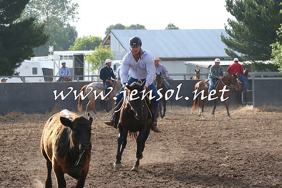 BraidwoodCampdraft2014_0152