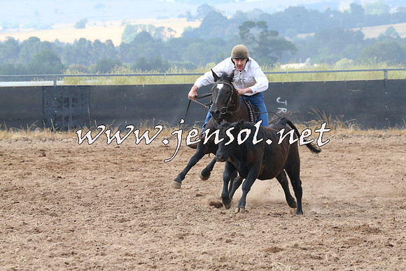 BraidwoodCampdraft2014_0220