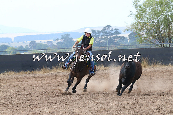 BraidwoodCampdraft2014_0247