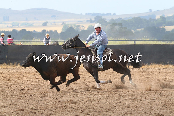 BraidwoodCampdraft2014_0231