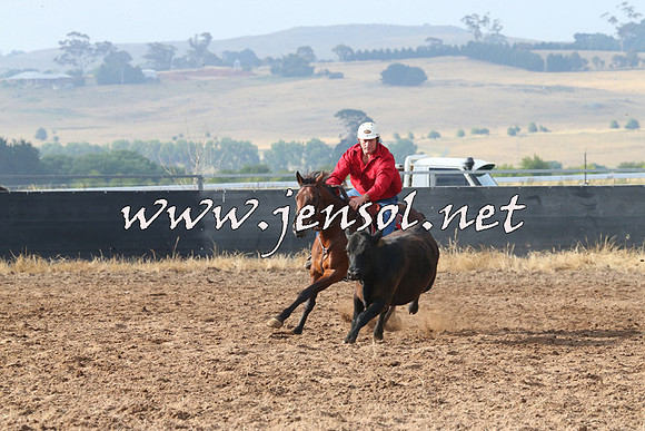BraidwoodCampdraft2014_0129