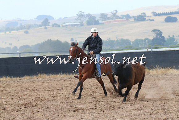 BraidwoodCampdraft2014_0224