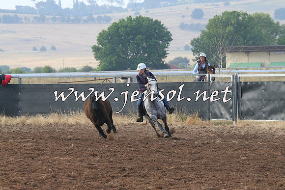 BraidwoodCampdraft2014_0047