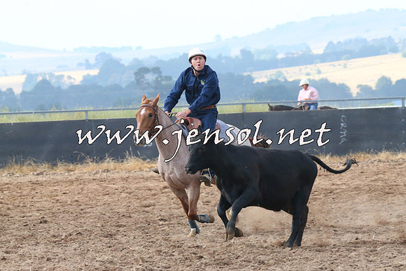 BraidwoodCampdraft2014_0195