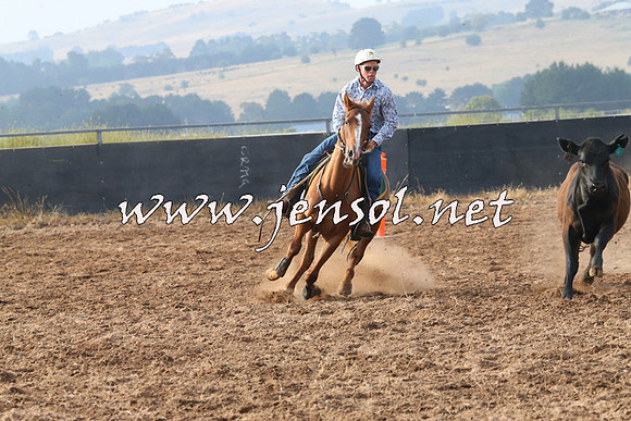 BraidwoodCampdraft2014_0089