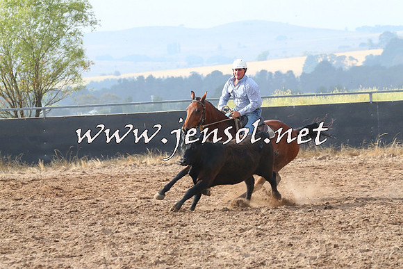 BraidwoodCampdraft2014_0168
