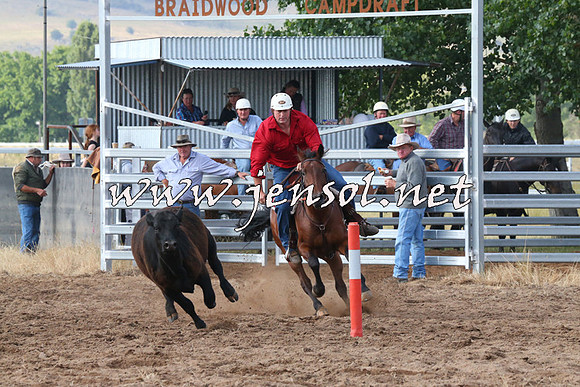 BraidwoodCampdraft2014_0138