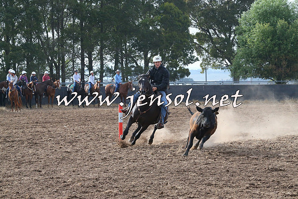 BraidwoodCampdraft2014_0162