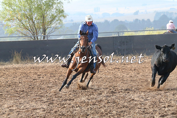 BraidwoodCampdraft2014_0126