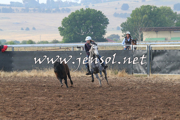 BraidwoodCampdraft2014_0043