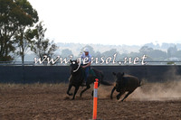 BraidwoodCampdraft2014_0029