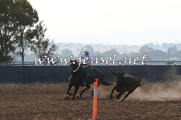 BraidwoodCampdraft2014_0029