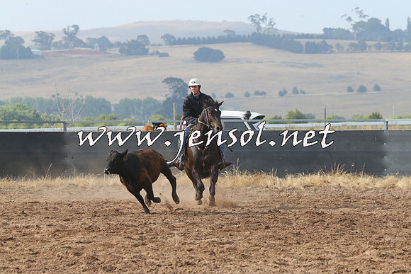 BraidwoodCampdraft2014_0159