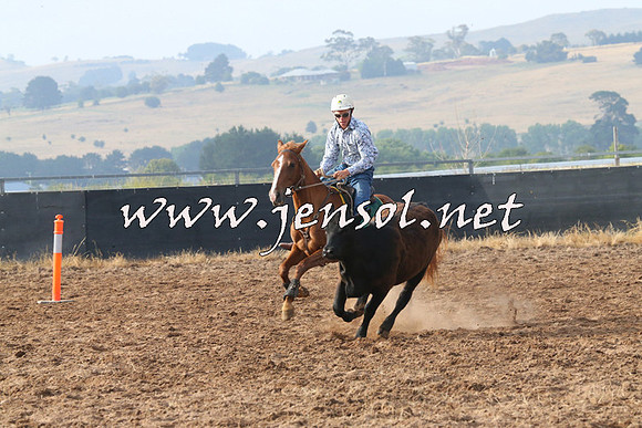 BraidwoodCampdraft2014_0093
