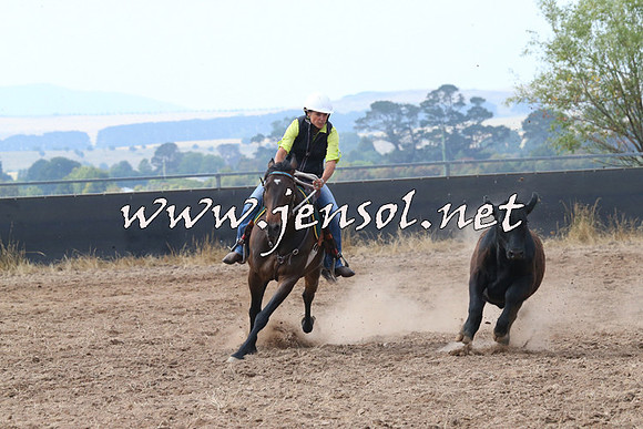 BraidwoodCampdraft2014_0244