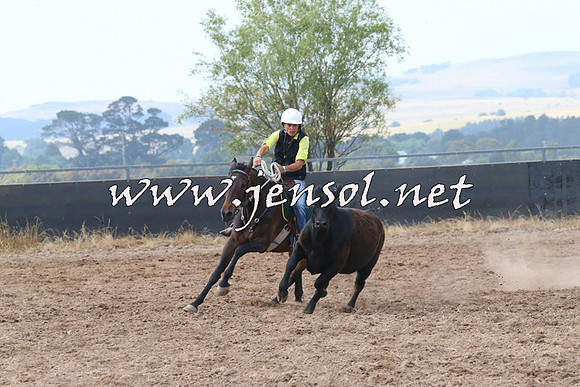 BraidwoodCampdraft2014_0250