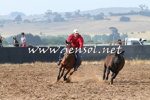 BraidwoodCampdraft2014_0132