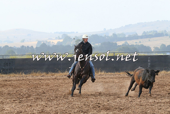 BraidwoodCampdraft2014_0153