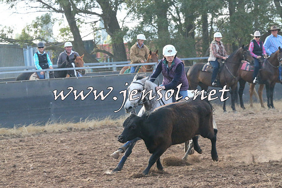 BraidwoodCampdraft2014_0048