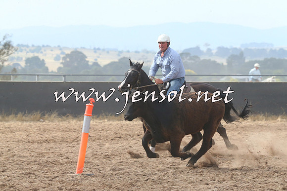 BraidwoodCampdraft2014_0233