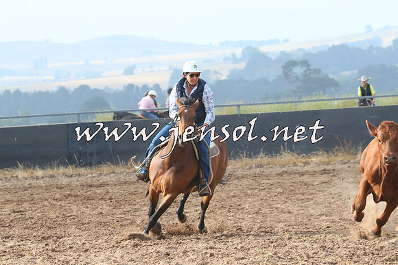 BraidwoodCampdraft2014_0143