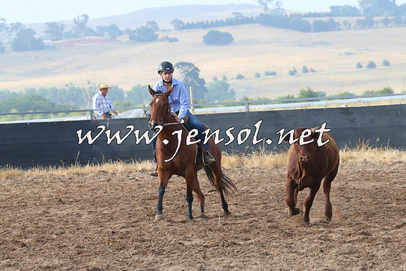 BraidwoodCampdraft2014_0087