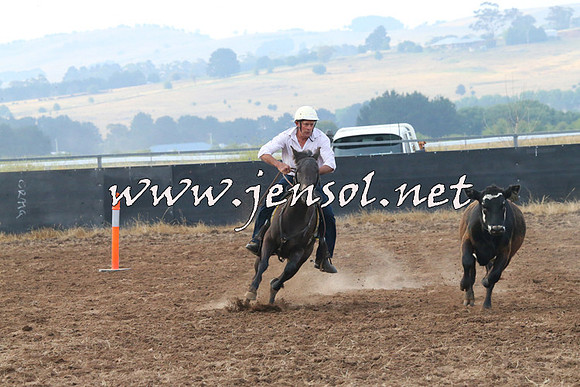 BraidwoodCampdraft2014_0069