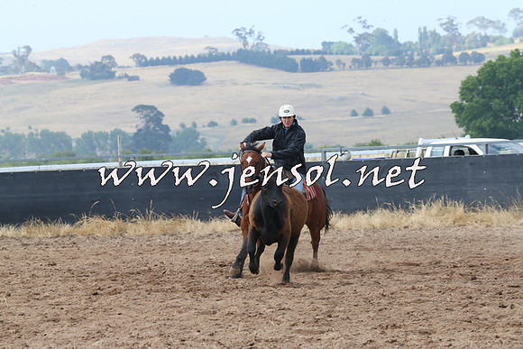 BraidwoodCampdraft2014_0225