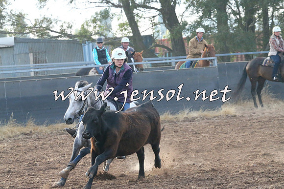 BraidwoodCampdraft2014_0052