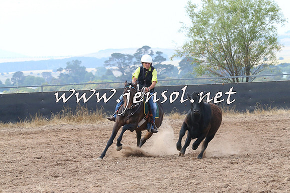 BraidwoodCampdraft2014_0251