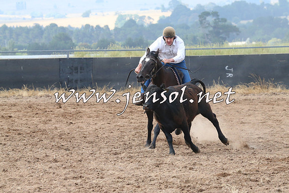 BraidwoodCampdraft2014_0221