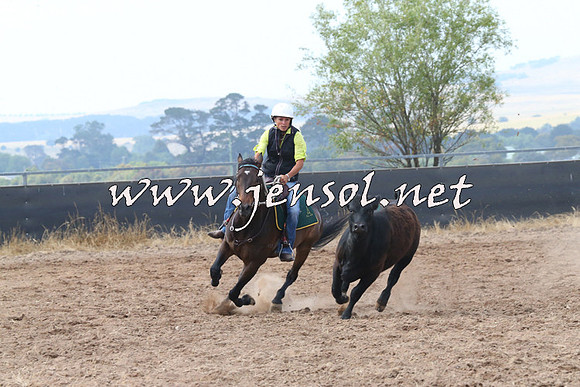 BraidwoodCampdraft2014_0249