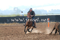 BraidwoodCampdraft2014_0015