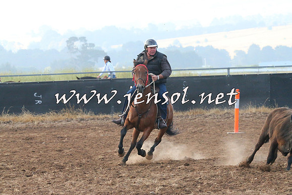 BraidwoodCampdraft2014_0015