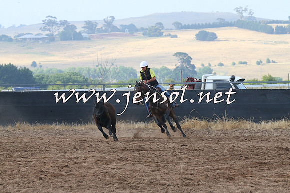 BraidwoodCampdraft2014_0174