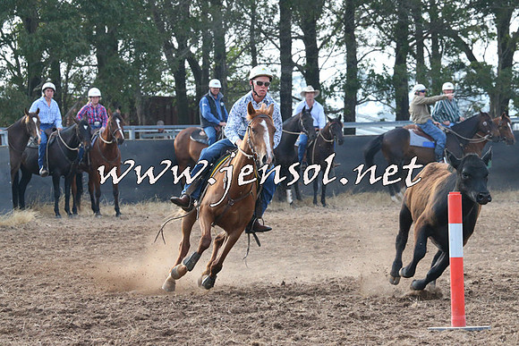 BraidwoodCampdraft2014_0097