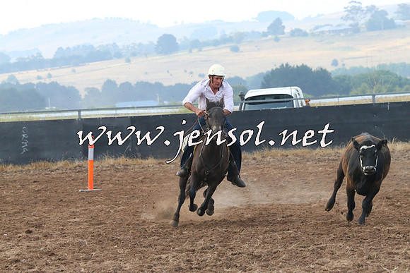 BraidwoodCampdraft2014_0067